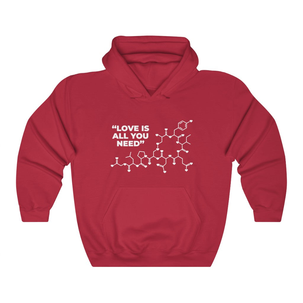 Love Is All You Need Unisex Heavy Blend™ Hooded Sweatshirt