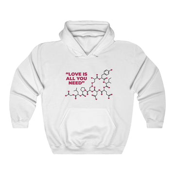 Love Is All You Need Unisex Heavy Blend™ Hooded Sweatshirt